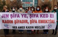 Kadın Sağlık ve Sosyal Hizmet Emekçilerinin Sorunlarına Dikkat Çeken Amed Şube Kadın Meclisimiz 8 Mart’ta Alanlara Çağrı Yaptı