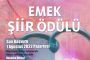 MYK Üyemiz Eylem Kaya Eroğlu FNV’nin “Özelleştirmelerin Kamusal Hizmetlere Etkisi/Kamunun Gücü” Etkinliklerine Katıldı