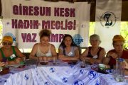 Giresun KESK Kadın Meclisi Kadın Eğitim Kampı Düzenlendi